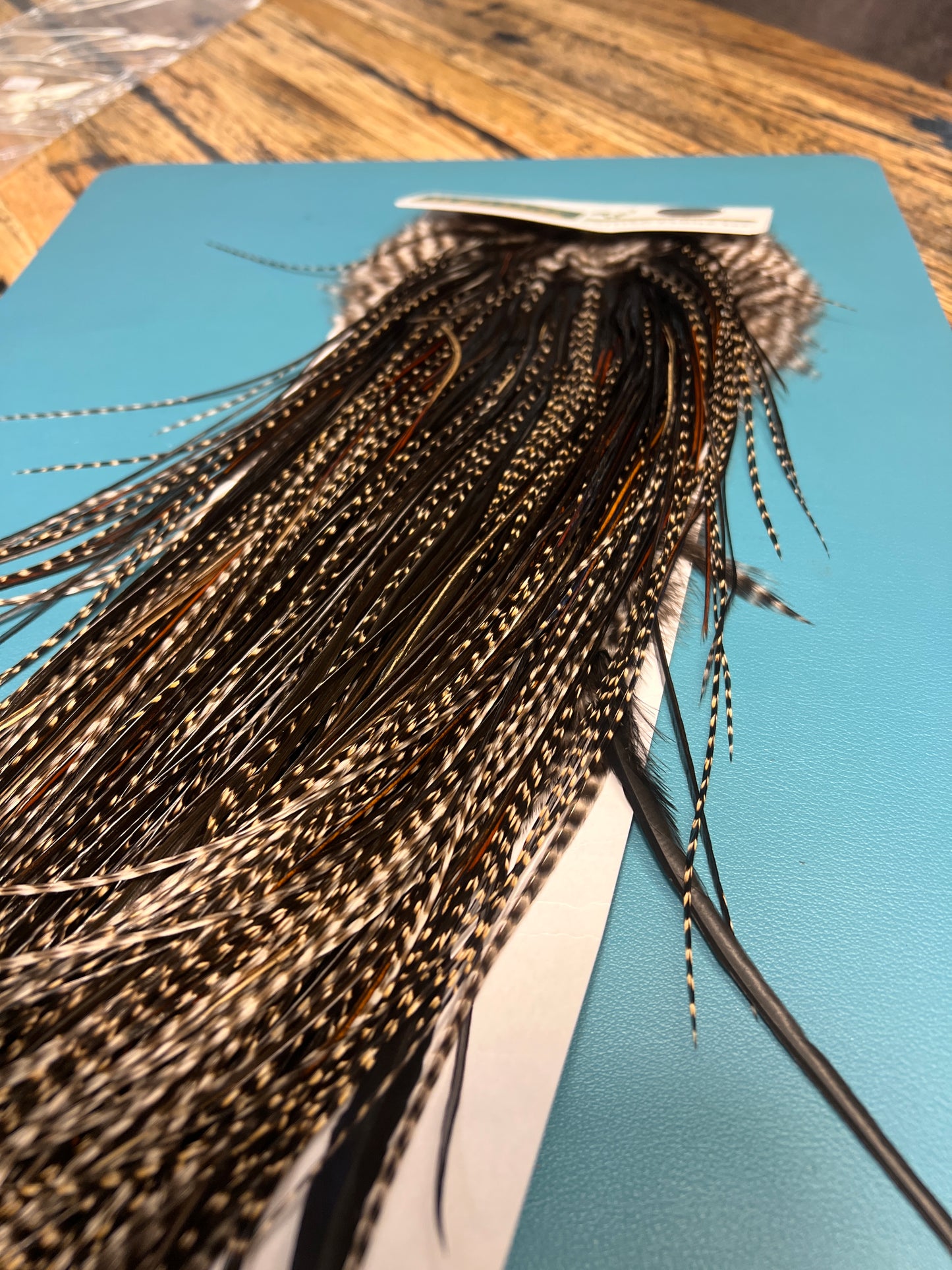 Hebert Silver Grade Saddle, Grizzly Variant