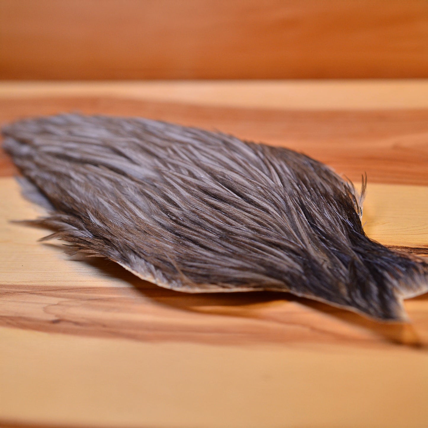 Whiting/Hebert Hen Cape