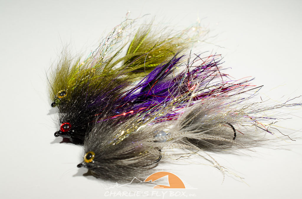 Swim Coach, Craven's