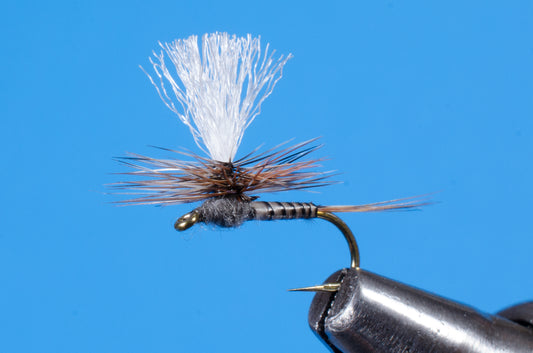 Parachute Adams Fly Tying Video