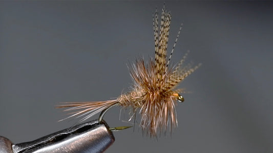 Dorato Hare's Ear Fly Tying Video