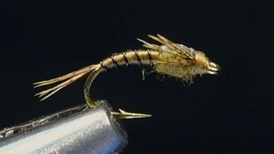 Dorsey's Top Secret Beatis Fly Tying Video