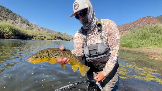 Fishing Sunk Tricos On Drop Shot Rig With Brian Hilbert