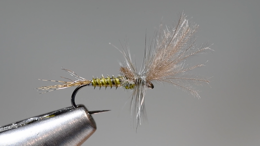 Last Chance Cripple Fly Tying Video