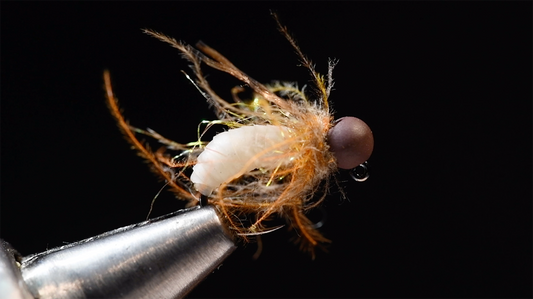 Momma's Boy Fly Tying Video