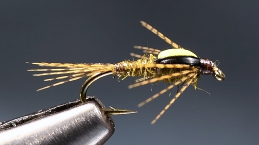 Split Foam Back Emerger Fly Tying Video