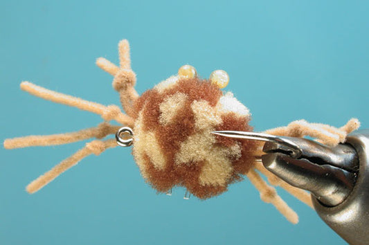 McFly Crab, Chicone's