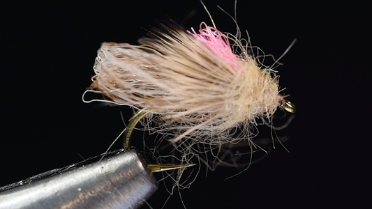Hellion Caddis Fly Tying Video
