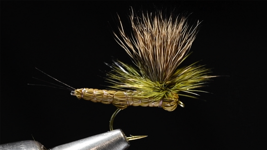 Paradrake Fly Tying Video