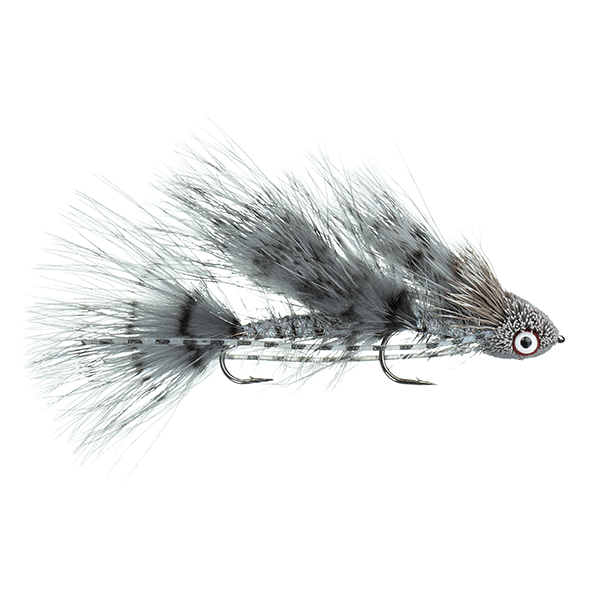 Mini Sex Dungeon, Galloup