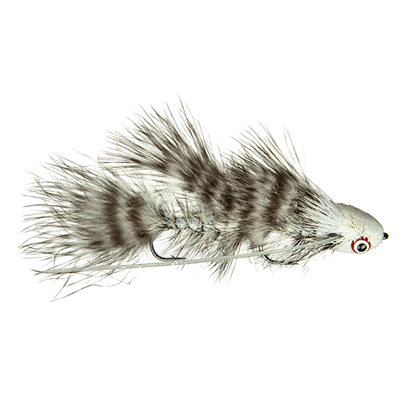 Mini Sex Dungeon, Galloup