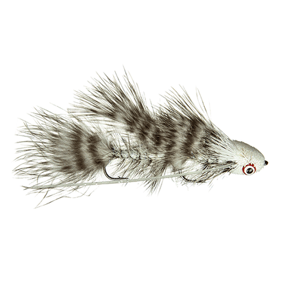 Mini Sex Dungeon, Galloup