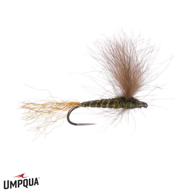 CDC Sparkle Dun, Mathews'