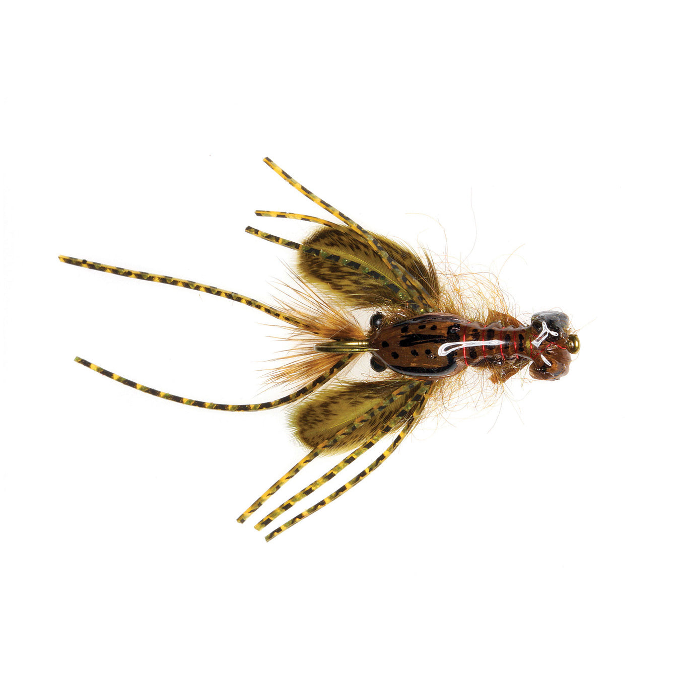 Creek Crawler, Hada's