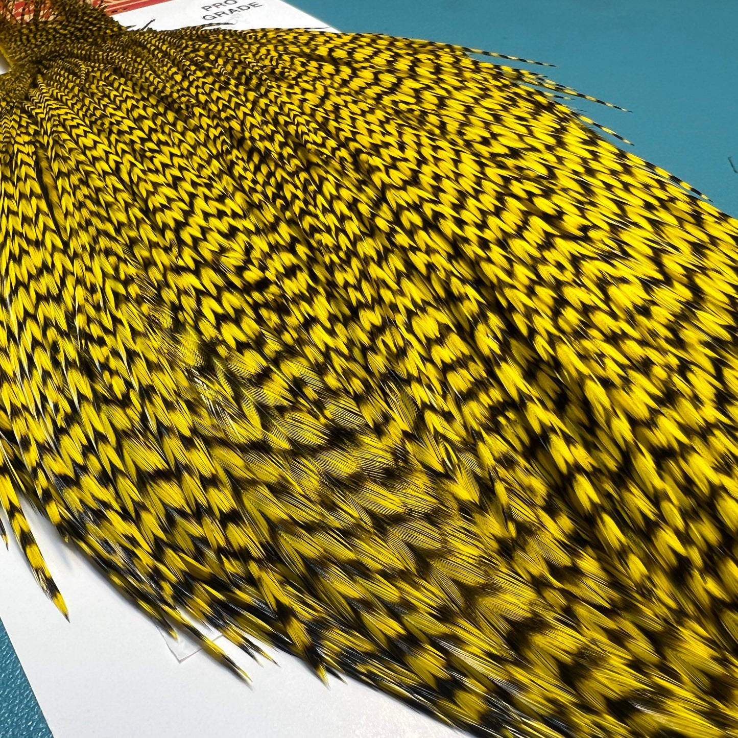 Whiting Pro Grade Capes