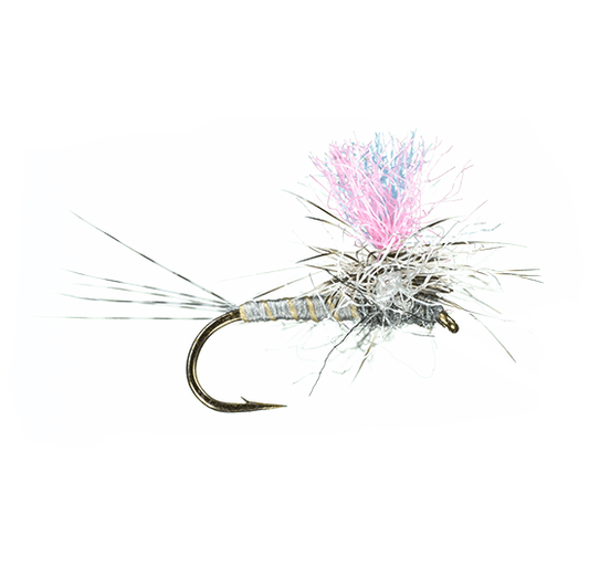 Guide Winna Spinna, Gray Drake