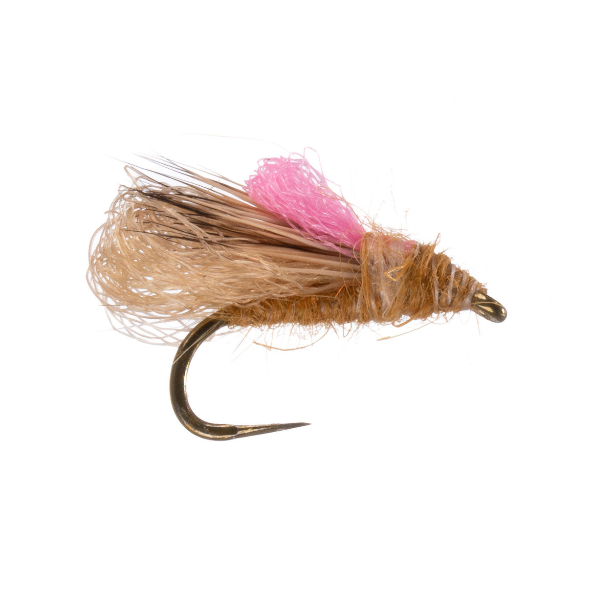 Hellion Caddis, Craven's