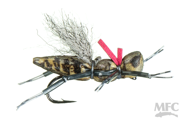 KK's Henneberry Hopper