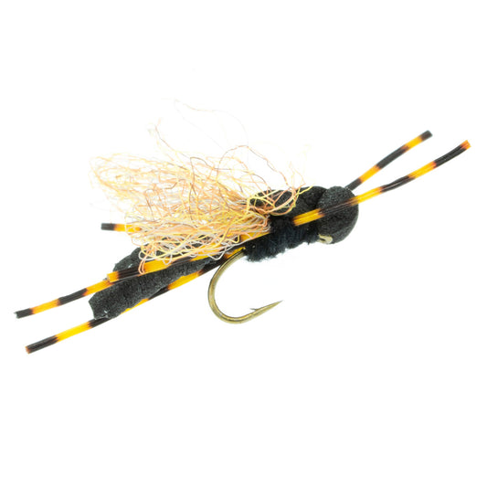 Jeffrey Dauber, Craven’s