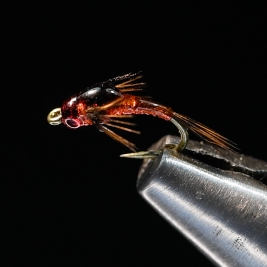 Lil Bit, Craven's *NEW*