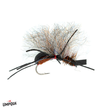 Big Fat Angie, Craven's