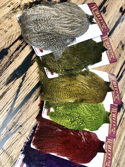 Whiting CDL Hen Capes