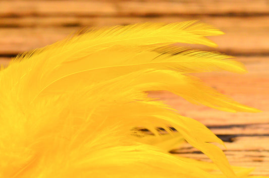 Strung Saddle Hackle