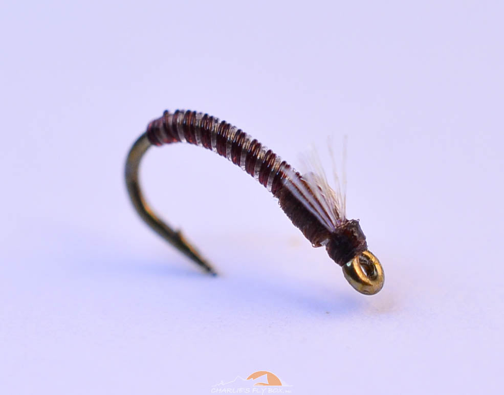 Jujubee Midge, Craven's