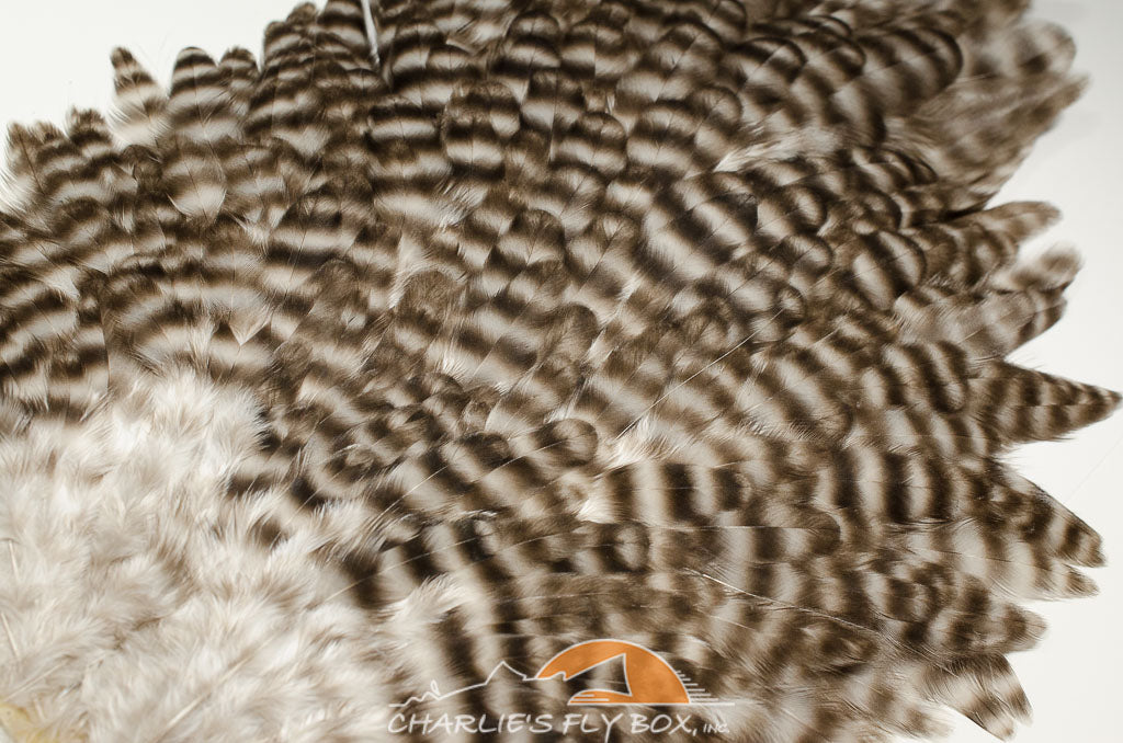 Whiting/Hebert Grizzly Hen Saddles