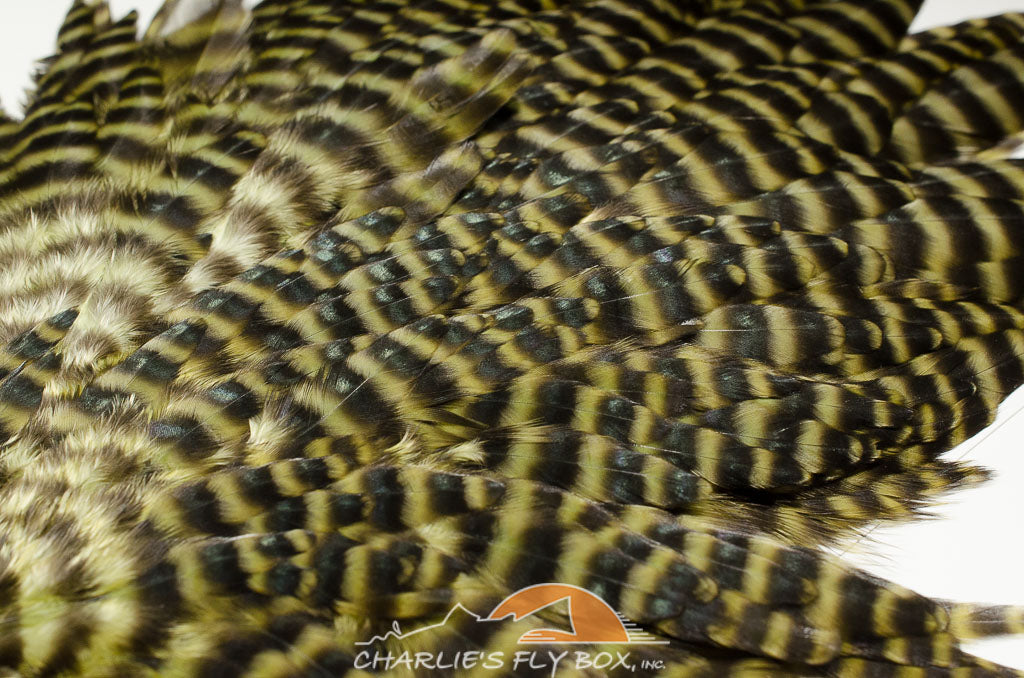 Whiting/Hebert Grizzly Hen Saddles