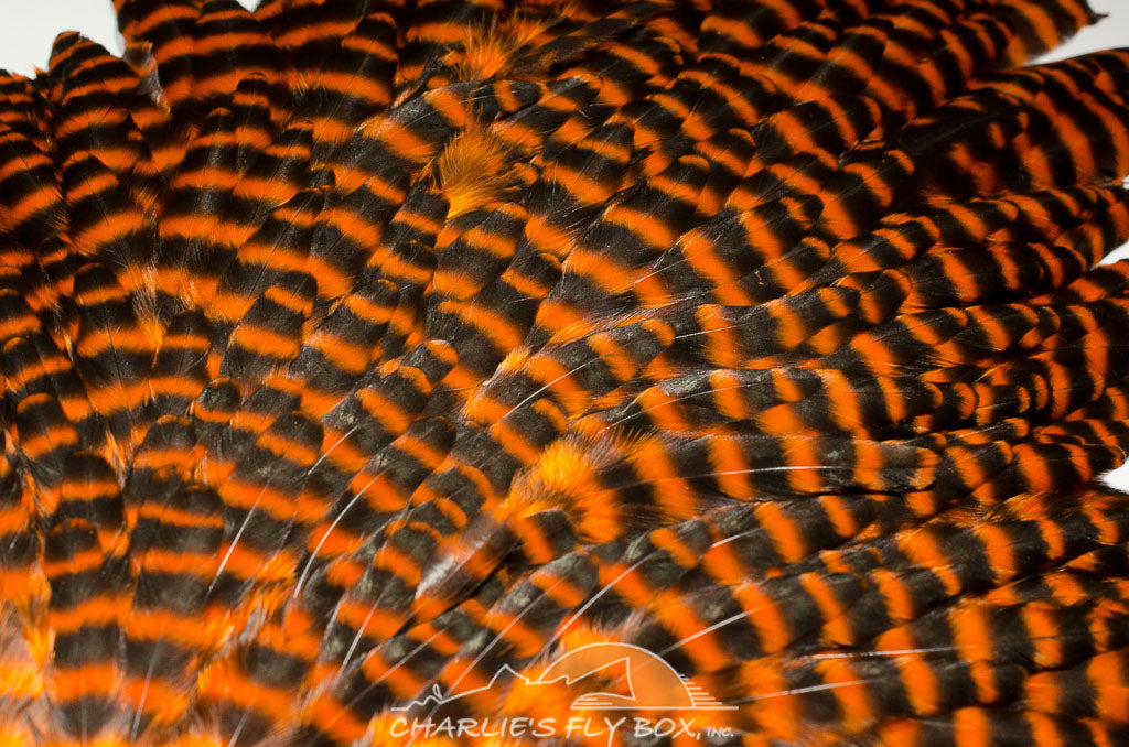 Whiting/Hebert Grizzly Hen Saddles