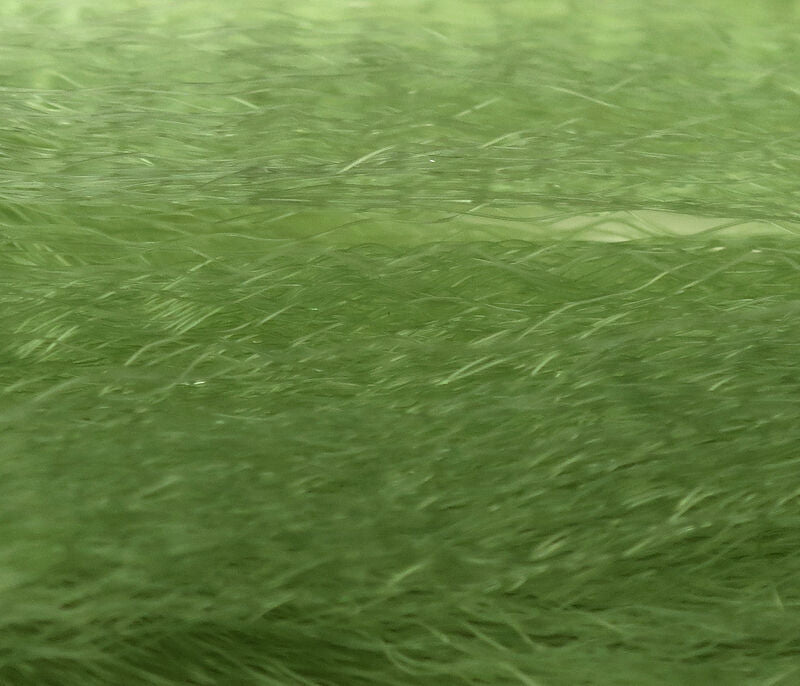 Super Hair, aka Supreme Hair