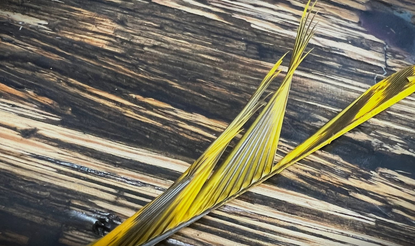 Magpie Materials Custom Dyed Premium Turkey Biots