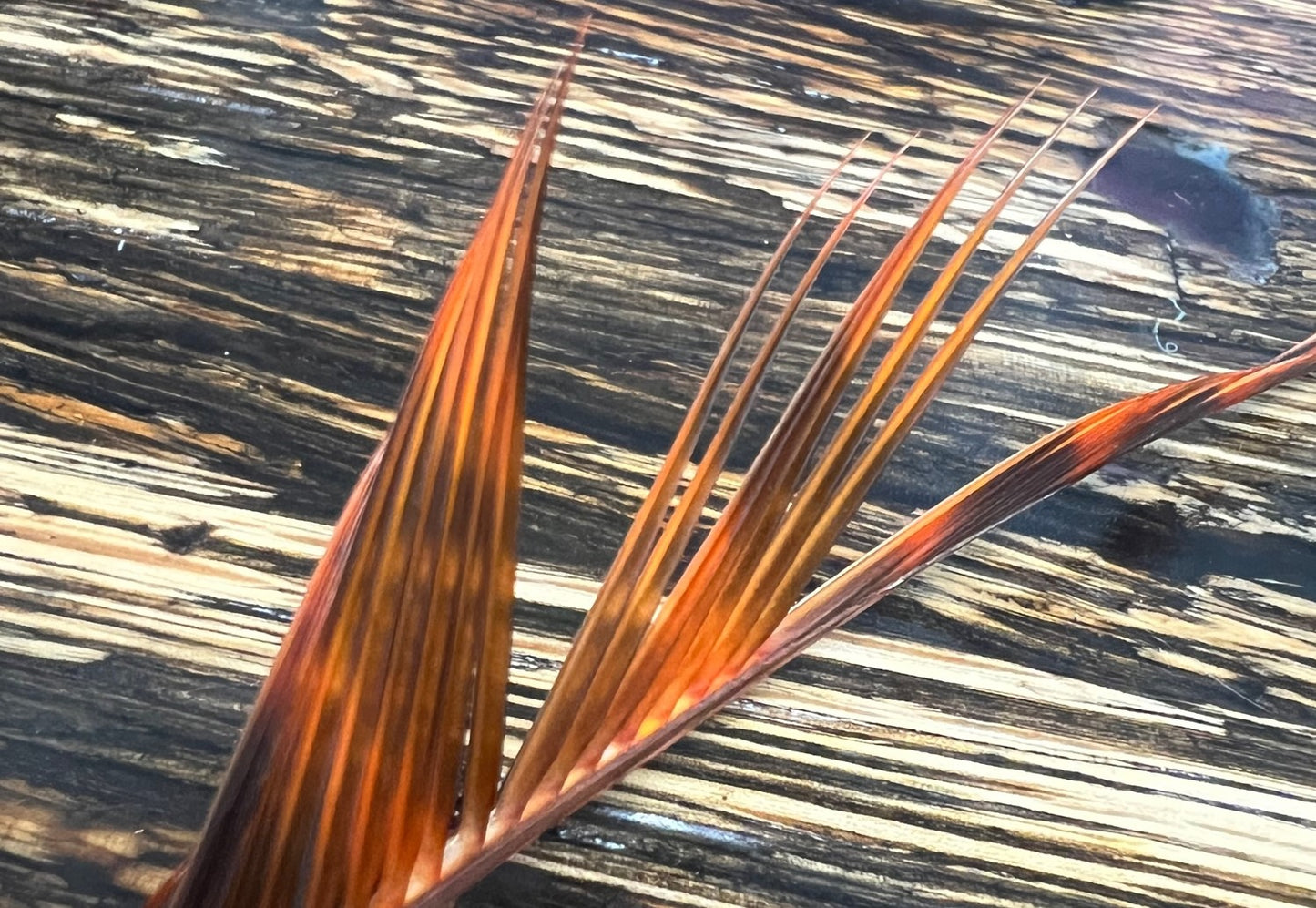 Magpie Materials Custom Dyed Premium Turkey Biots