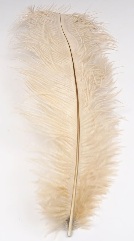 Ostrich Plumes (Herl)