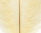 Ostrich Plumes (Herl)