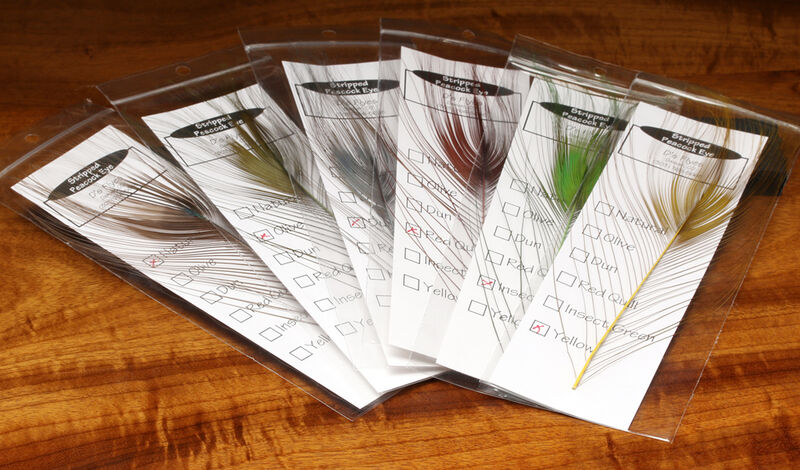 Stripped Peacock Eye