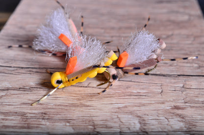 Thunder Thighs Hopper, Tan, Paramore's