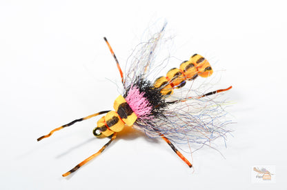 Morningwood Special Stone, Craven's