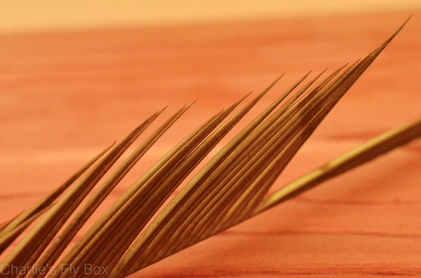 Goose Biots, Nature's Spirit