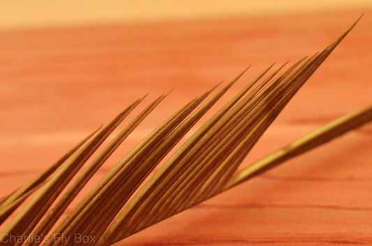 Goose Biots, Nature's Spirit