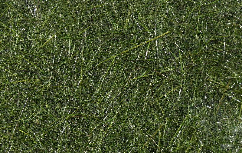 Hare's Ear Plus Dubbing