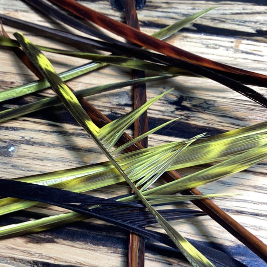 Magpie Materials Custom Dyed Premium Turkey Biots