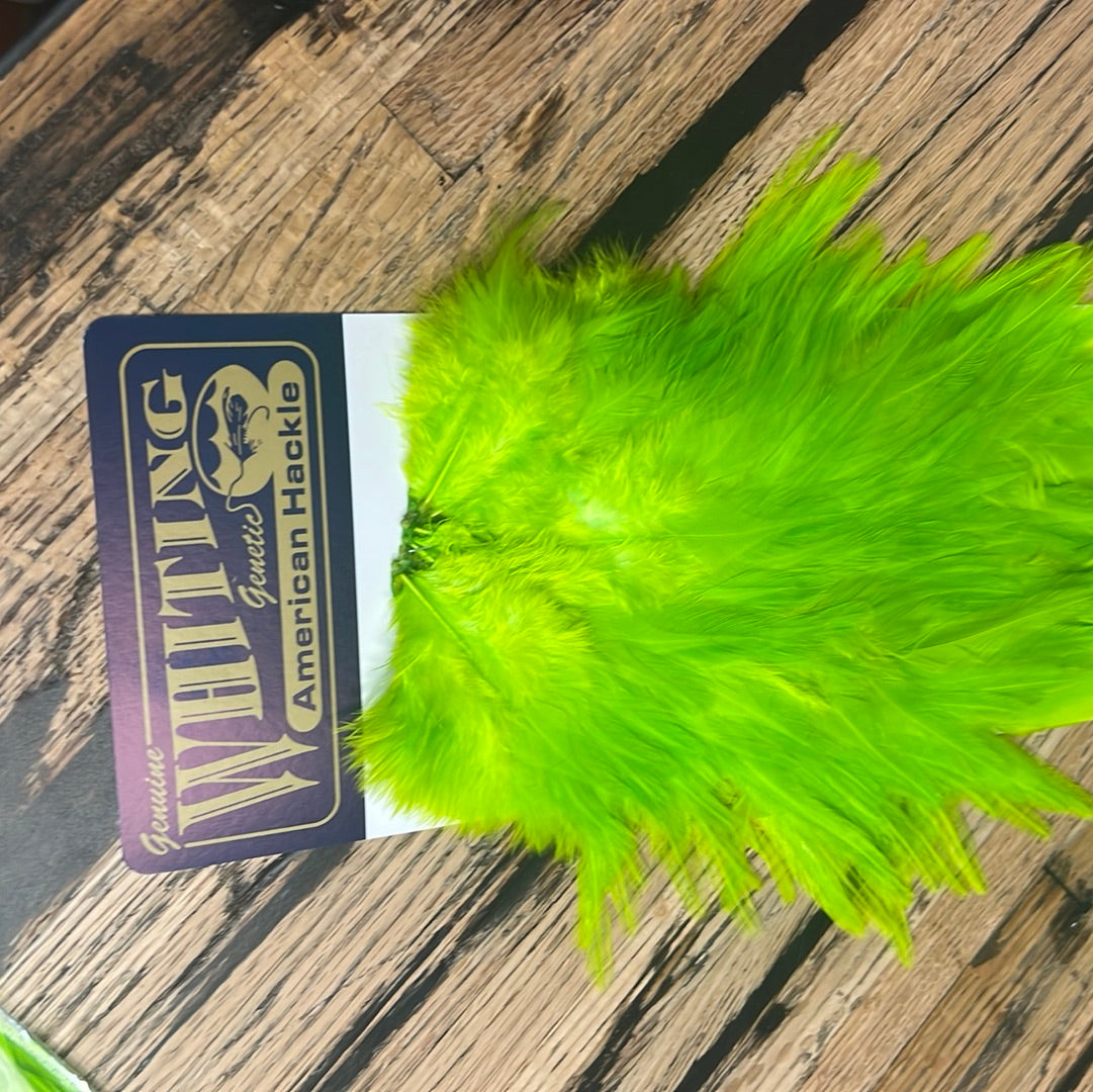 Whiting American Rooster Saddle