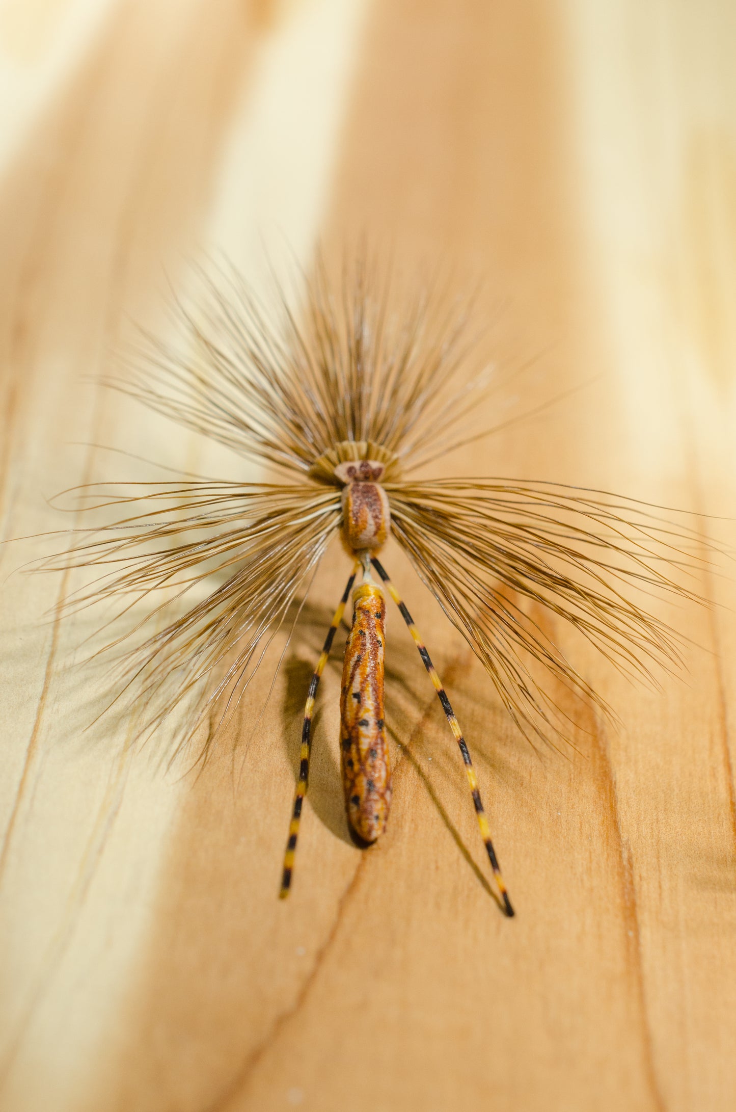 Mr. Jones, Craven’s