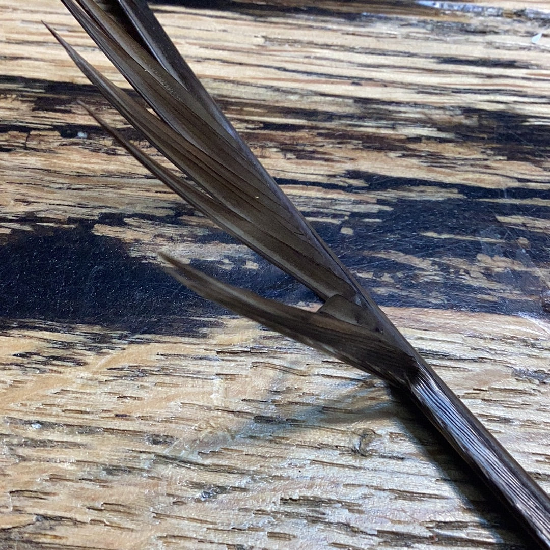 Magpie Materials Custom Dyed Premium Turkey Biots