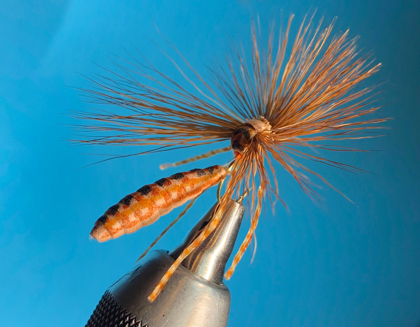 Mr. Jones, Craven’s