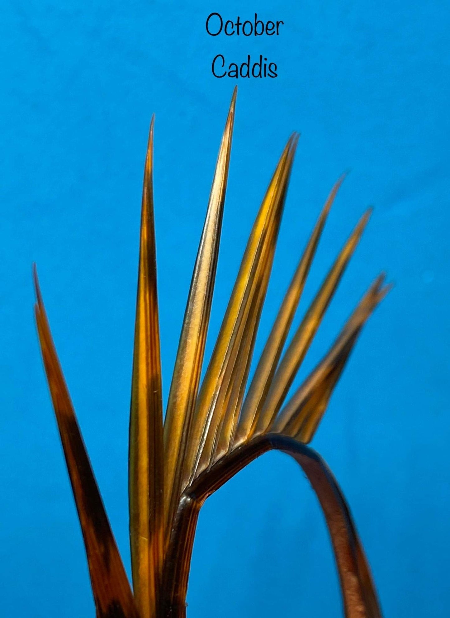 Magpie Materials Custom Dyed Premium Turkey Biots