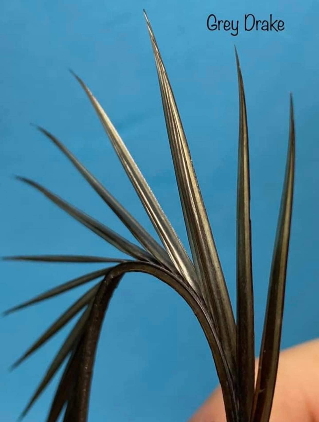 Magpie Materials Custom Dyed Premium Turkey Biots