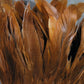 Schlappen Feathers